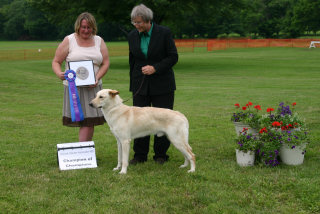 picure showing a light colored Chinook standing in front of two ladies